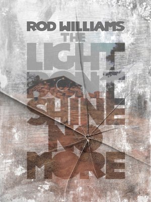 cover image of The Light Don't Shine No More